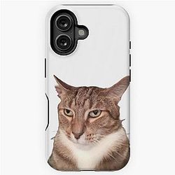 Tyga the iPhone Case