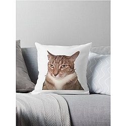 Tyga Cat Throw Pillow