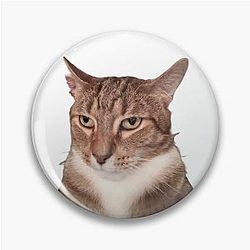Tyga il perno del gatto