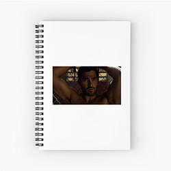 Tyler Hoechlin No Limits Just Acting Tyler Hoechlin Notebook