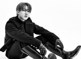Changbin Official Merchandise: Must‑Have Items for Fans
