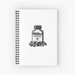 Ligodone Fall of the House of Usher Notebook