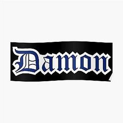 Vampire Diaries Posters - Damon vampire Poster RB1312 [ID482]