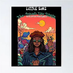 Little Simz, Venom, Sometimes I Might Be Introvert, Simbi, Feminist Poster