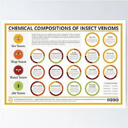 The Chemical Compositions of Insect Venoms