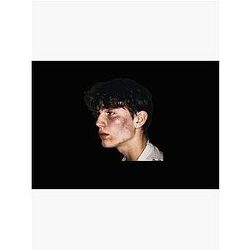 Vinnie Hacker Puzzle - Vinnie Hacker Puzzle puzzle RB1208 #ID8271
