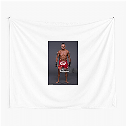 Octagon Star Vitor Belfort Tapestries