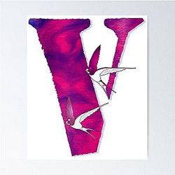 Vlone with birds , cool design for V Poster