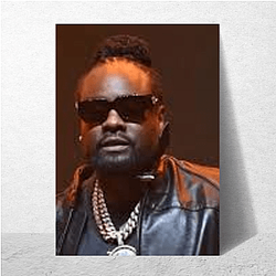 Wale Capsule Wale Posters