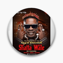 Wale Outfit Wale Pins