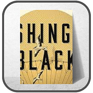 Washington Black Posters