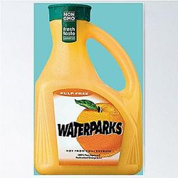 waterparks orange juice Poster