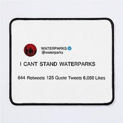 Waterparks Merch I Cant Stand Waterparks Mouse Pad