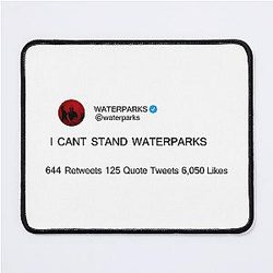 Waterparks Merch I Cant Stand Waterparks Mouse Pad