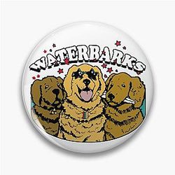 waterparks  Pin