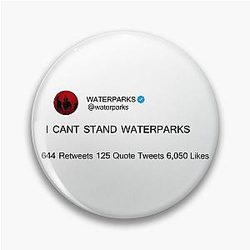 Waterparks Merch I Cant Stand Waterparks Pin