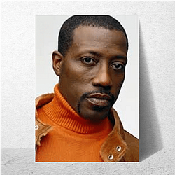 Martial Arts Power Wesley Snipes Posters
