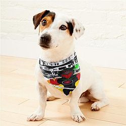 Whistlindiesel 3 Pet Bandanas Premium Merch Store