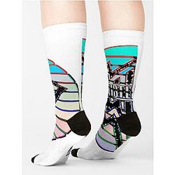 Whistlin Diesel 2022 Sock Premium Merch Store