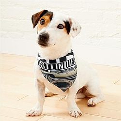 Whistlindiesel 2 Pet Bandanas Premium Merch Store