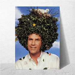 Will Ferrell has been nominated for a Golden Globe Will Ferrell Posters