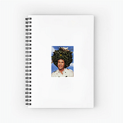 Will Ferrell has been nominated for a Golden Globe Will Ferrell Notebook
