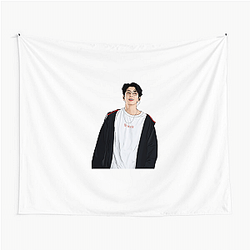 Wonwoo Cat Like Charm Wonwoo Tapestries