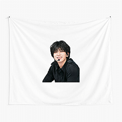 Wonwoo Iconic Glass Wearer Wonwoo Tapestries