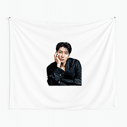 Wonwoo Deep Voice Rapper Wonwoo Tapestries