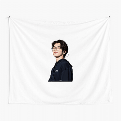 Wonwoo Stage Master Performer Wonwoo Tapestries
