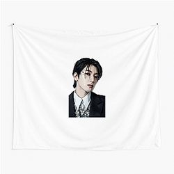 Wonwoo Hip Hop Unit Star Wonwoo Tapestries