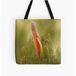 Adenanthos sericeus Wooli Bush flower All Over Print Tote Bag