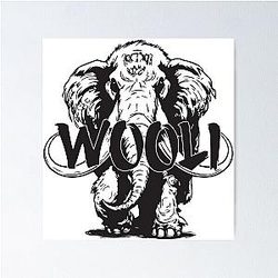EDM Wooli 2 Poster