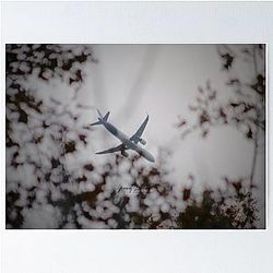 Volar by Yannis Lobaina Poster