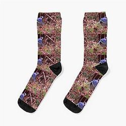 Totem bird Jays by Yannis Lobaina Socks