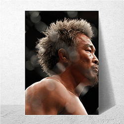 Yoshihiro Akiyama Collection for fans Yoshihiro Akiyama Posters
