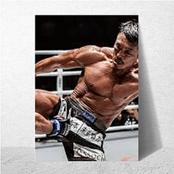 Yoshihiro Akiyama Signature Yoshihiro Akiyama Posters