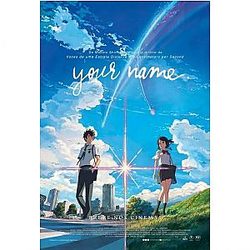 Your Name Anime Manga NTMD1506 Your Name Posters