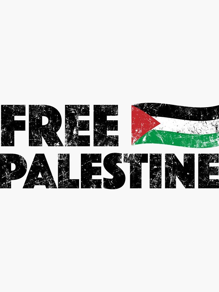 The Cultural and Artistic Expression of Resistance in Palestine