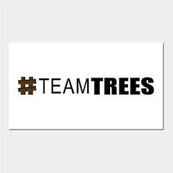 Mr Beast Posters - Hashtag Team Trees Black Poster TP0712
