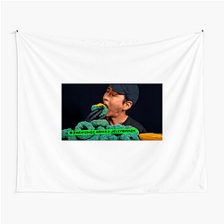 Zach Choi – Collector’s Special Drop Zach Choi Tapestries
