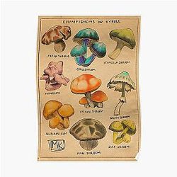 Champignons of Hyrule Poster RB1608