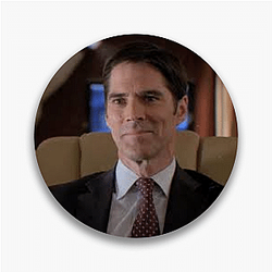 Aaron Hotchner Merch For Fans Aaron Hotchner Pins