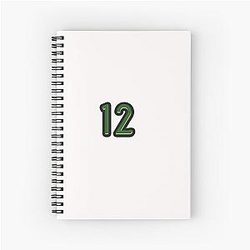 Aaron Rodgers MVP Notebook