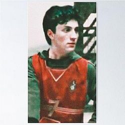 Aaron Johnson as James Potter Poster