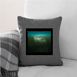 Absentia Merch Absentia Pillows Cover