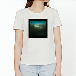 Absentia Merch Absentia T-Shirts