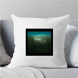 Absentia Merch Absentia Pillows Cover