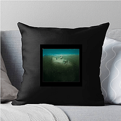 Absentia Merch Absentia Pillows Cover