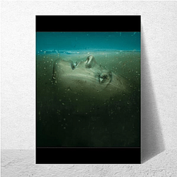 Absentia Merch Absentia Posters